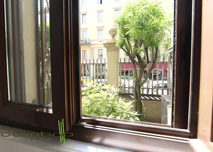 Bamboo Montenero