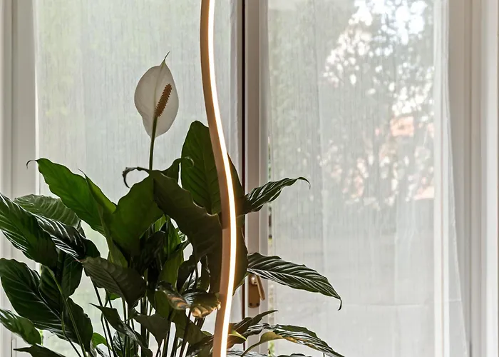 Bwr - In Zona Sempione-tre Torri, Via Alberti