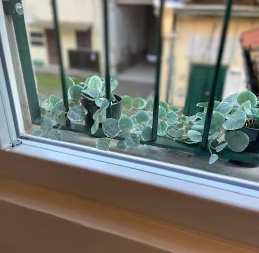 Grazioso Monolocale 밀라노