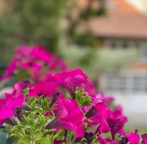 Grazioso Monolocale * 밀라노