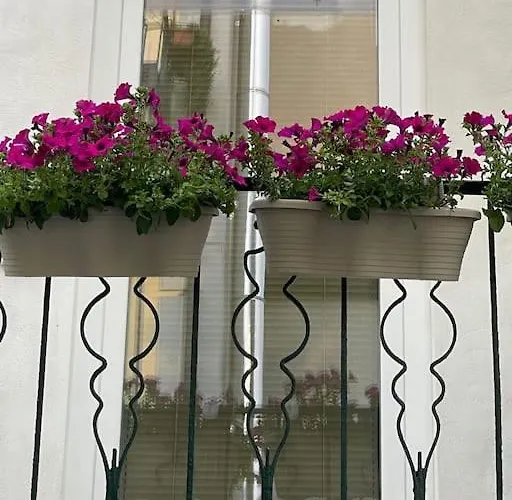 Grazioso Monolocale * 밀라노