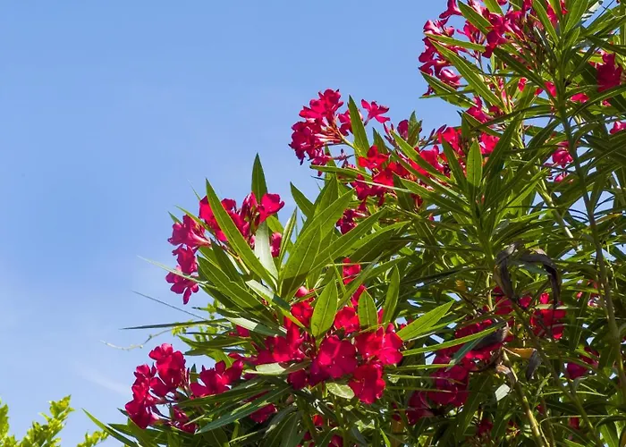 Apartamento Vigentino