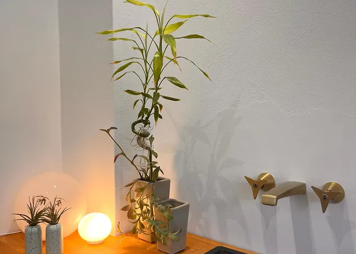 Apartamento Crocetta 67 - Penthouse