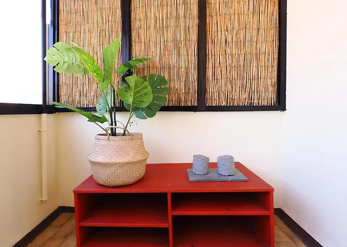 Primopiano - Semplicita * Milano