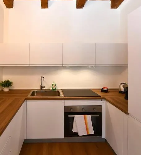 Bocconi Fond Prada Ieo Spettacolare Attico Con Terrazzo Appartement Milan