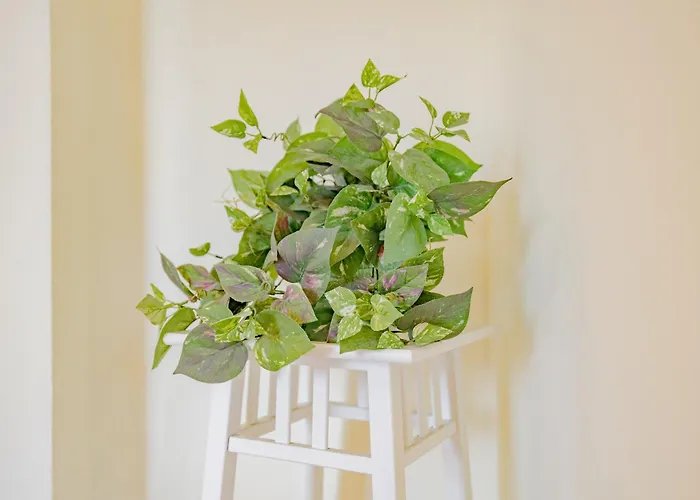 Lägenhet Porta Vittoria - Linate Urban - 10 Minuti Aeroporto Self-check-in