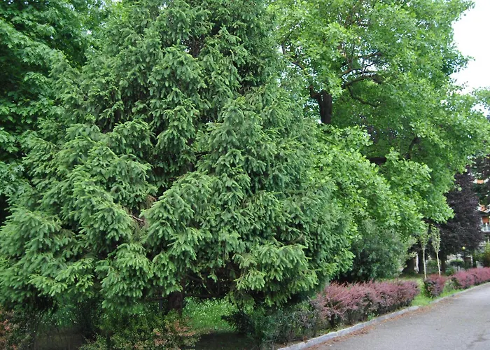 Portello Flat With Balcony Milano