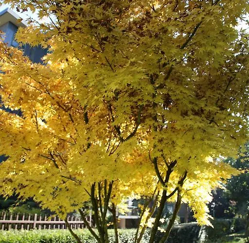 Bilocale Indipendente Apartment Milan