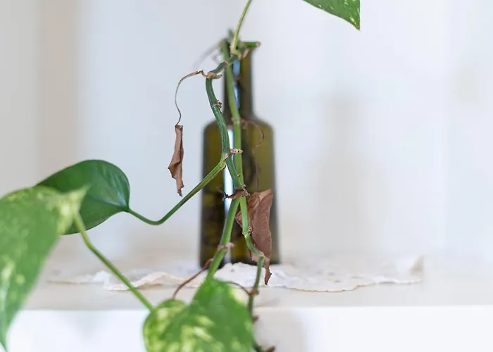 Luxury - Casoretto 36 * ميلان