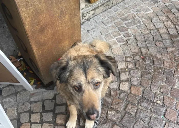 Di Greta E Marco Apartmán *