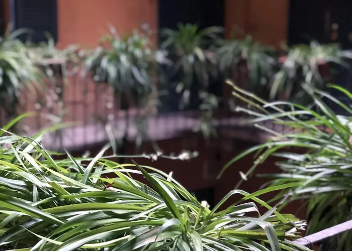 Brera Vip Spotlight - Brera - Duomo - Castello Sforzesco - Lanza Metro M2 Milán