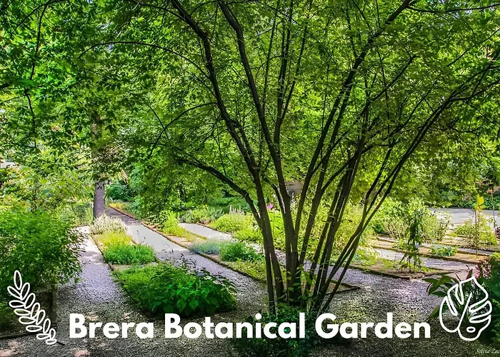Appartamento Brera Vip Spotlight - Brera - Duomo - Castello Sforzesco - Lanza Metro M2