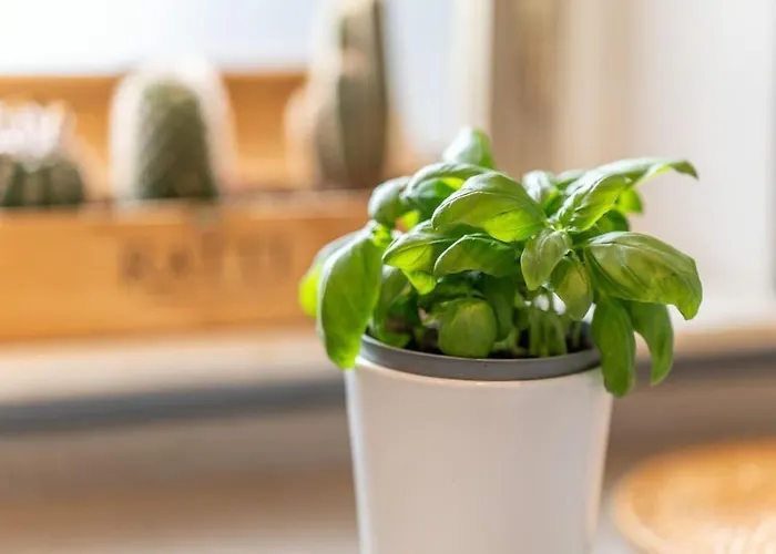 Daire Luxury In Navigli