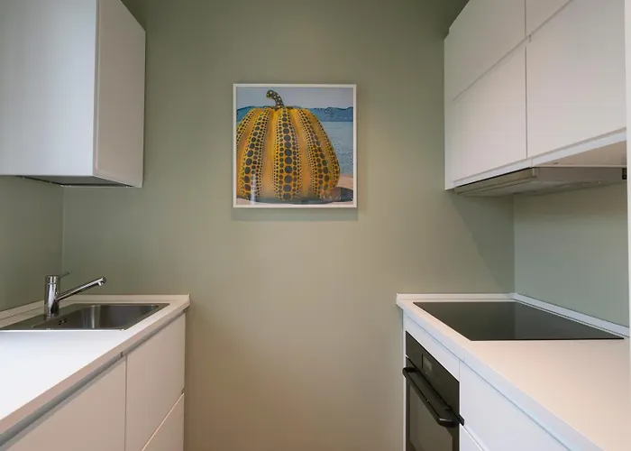 Xenia - Attic In San Siro Area *