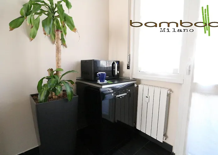 Bamboo Duomo * Mediolan