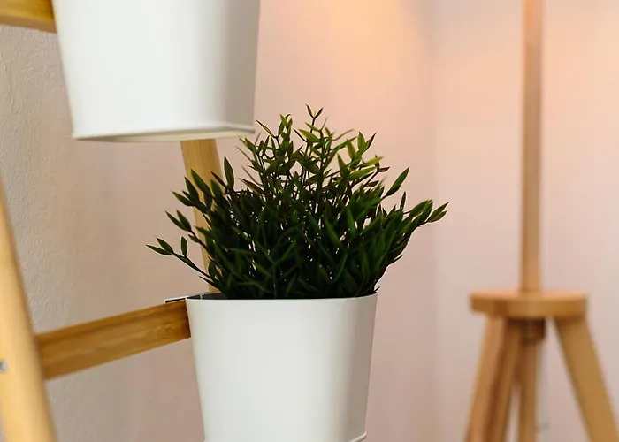 Insubria 8-2 - Monolocale Cool Apartment Milan