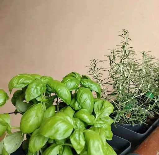 Appartamento Citylifers