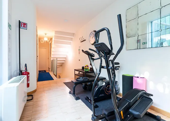 Studi - Collection 4*