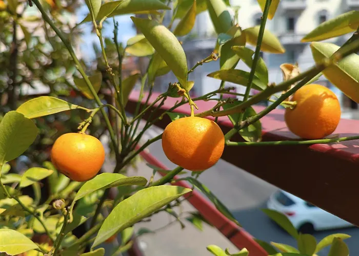 Appartamento Lillo's Milano