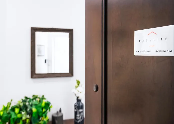 Easylife - - Taddei 14d - Washington *