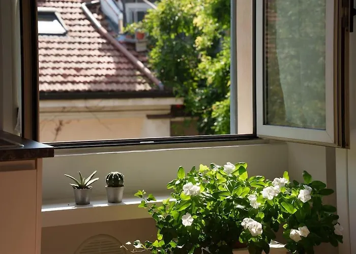 Savona 17 - Design *