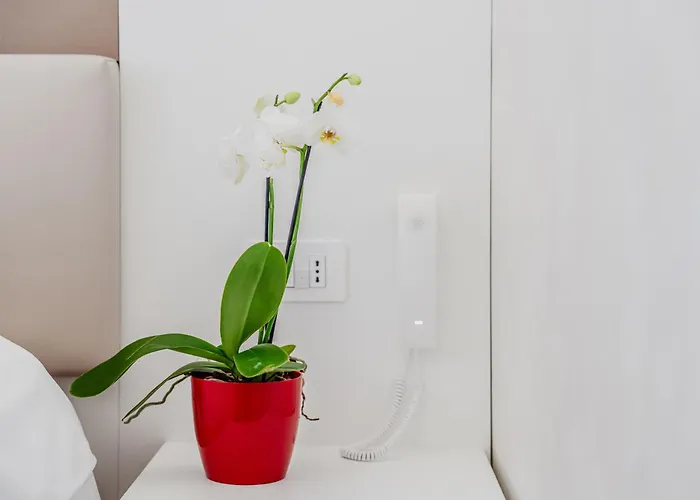 בית הארחה Navigli