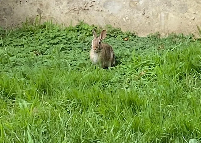 Magie Tortona District-navigli