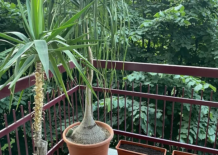 Apartamento Magie Tortona District-navigli *