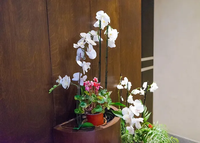 Apartman Disciplini A 5 Min Dal Duomo *