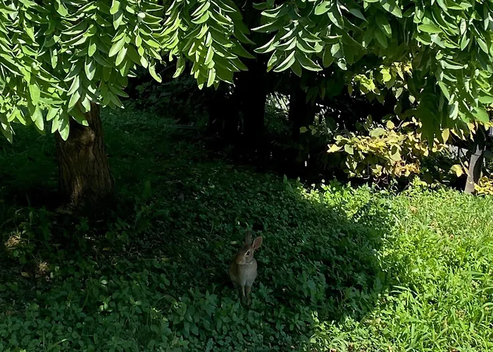 Apartamento Magie Tortona District-navigli Milão