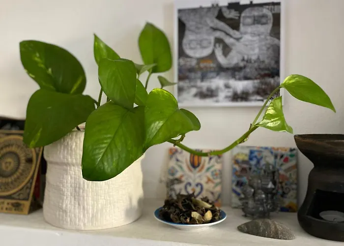 Apartament Bilocale - Zona Isola Mediolan