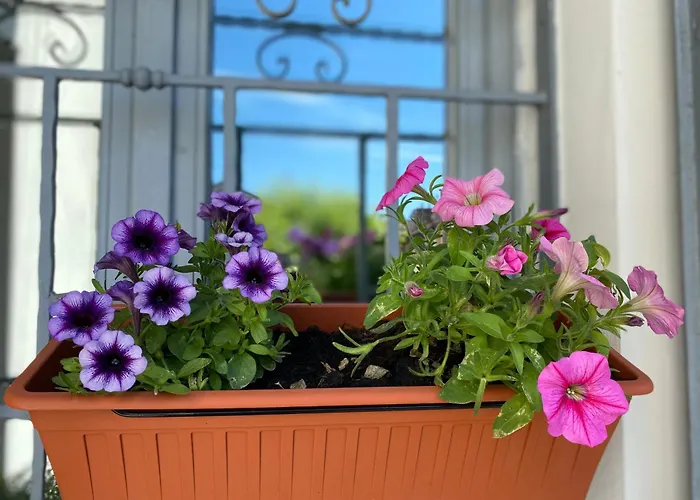 Bilocale - Zona Isola Apartament *