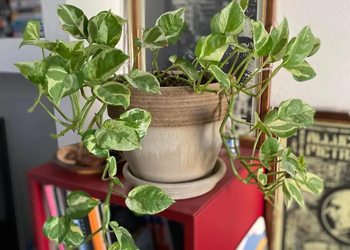 Bilocale - Zona Isola Apartament Mediolan