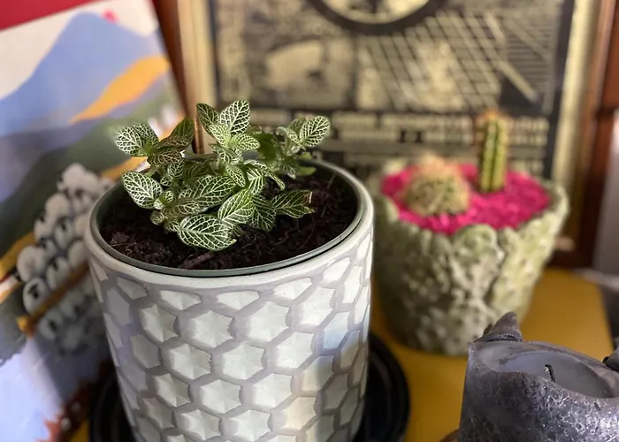 Bilocale - Zona Isola * Mediolan