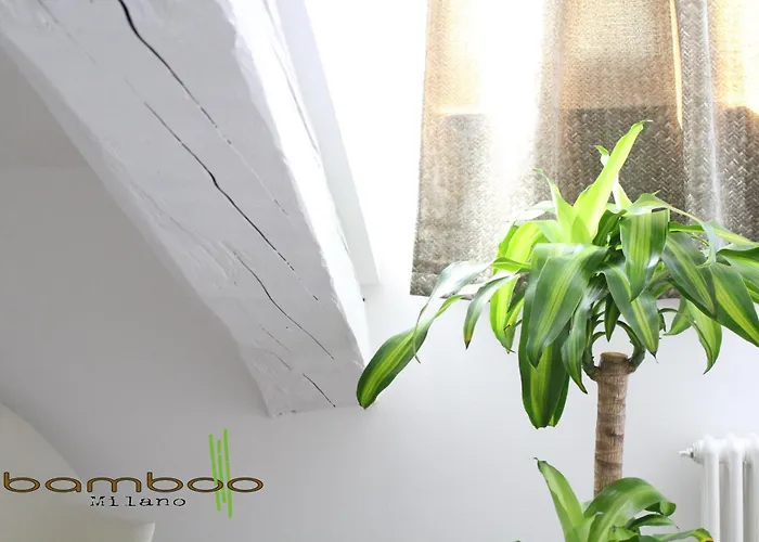 Bamboo Isonzo *