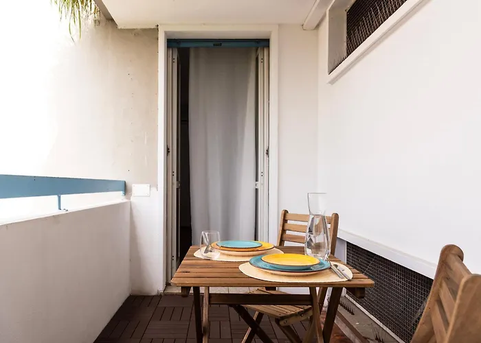 Youhosty- Terragni 31 *