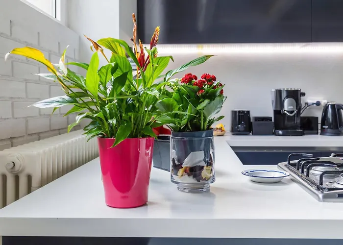Casa vacanze Glass Loft Milano