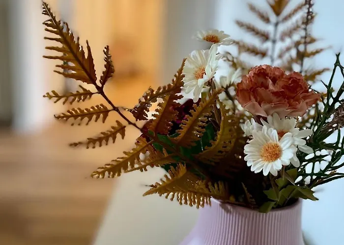 Lula - Zara M3-m5 Appartement