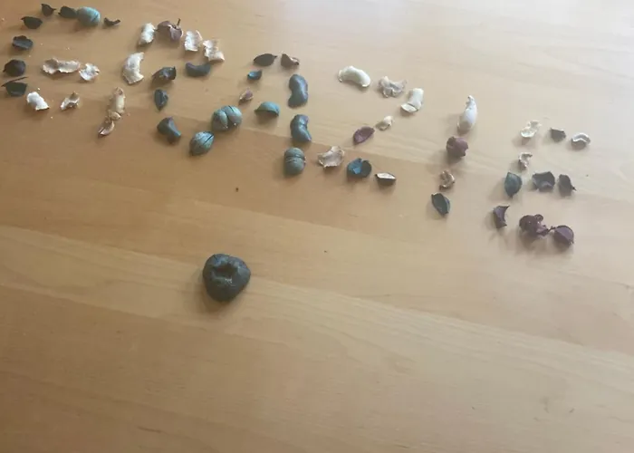 Di Greta E Marco Apartman Milánó