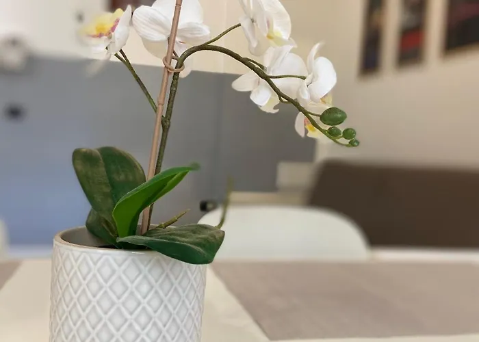 Modern - 10 Min From Station And Shops Appartamento *