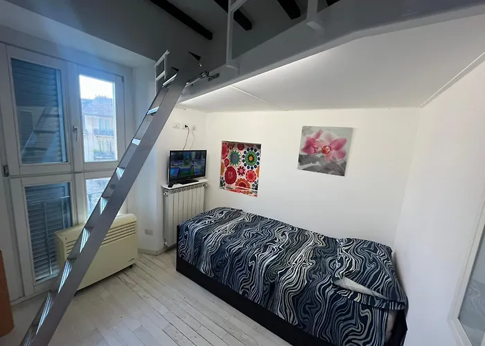 A.c.& G.o. *