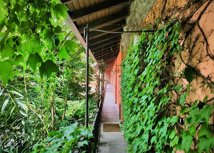 Niccolini Sarpi Food&design Modern In Chinatown Milaan