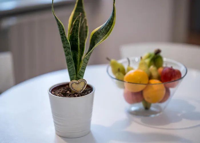 Bilocale 1br Affori - 15min Duomo * ミラノ