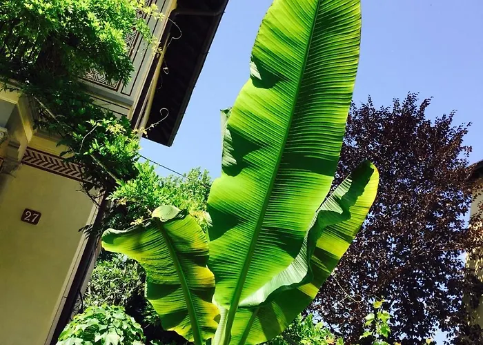 Bosco Verticale - Isola Garden * Milan