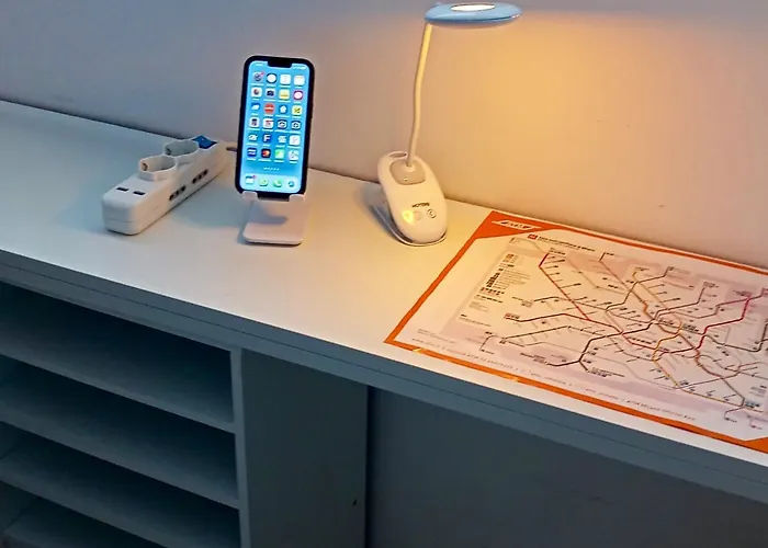 The Small White House In *