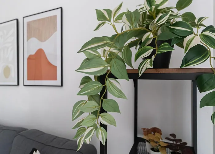 Italianway Comfort - Gallura 9 B *