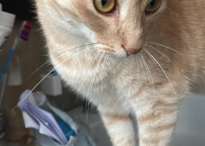 Diana Vicino Stazione E Centro Citta Апартаменты Милан