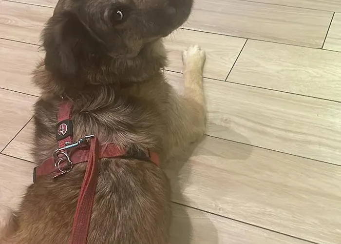 Diana Vicino Stazione E Centro Citta * Милан