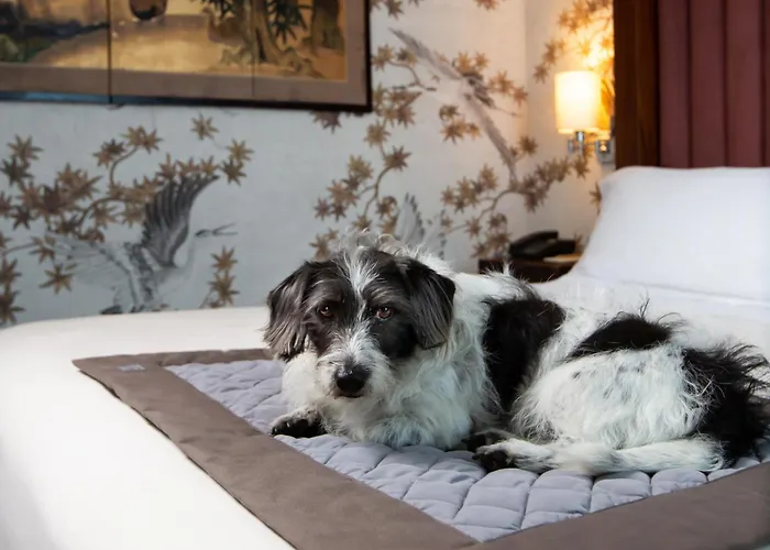 إنتربرايز ديزاين وبوتيك فندق