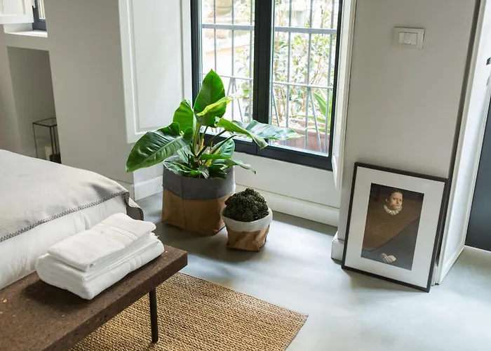 Greenhouse By Costanza *